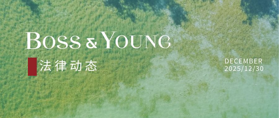 2025年11月数据合规与数字化转型法律动态