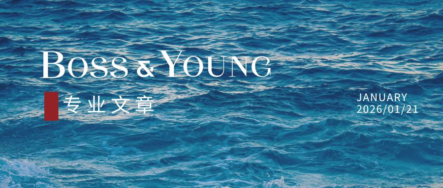 跨境海事海商纠纷：国际规则衔接与实务应对指南