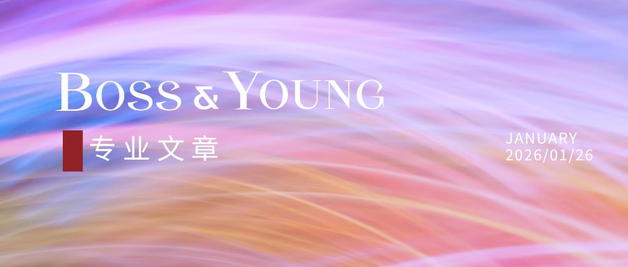 投资并购AI大模型公司中的重点法律问题——以MiniMax和智谱AI为例（下）