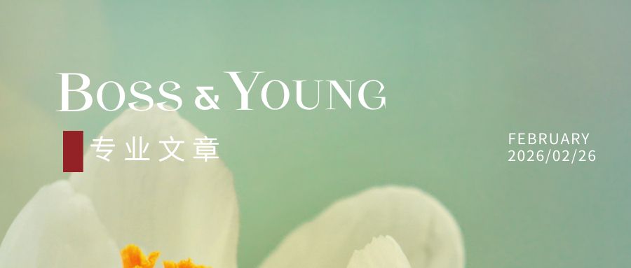 晓财富｜机动车售后回租的“融物”边界如何界定