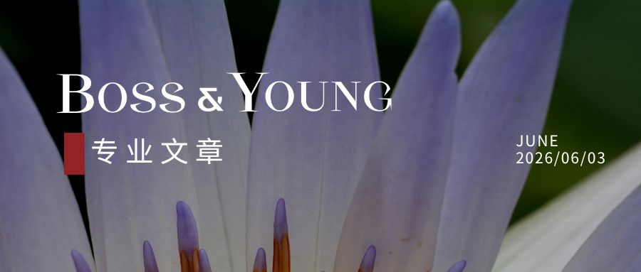 从规划到落地——存量资产盘活实务系列问答（五）